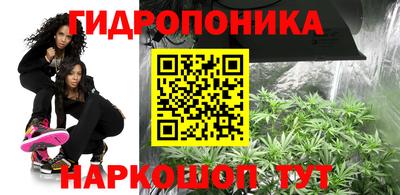 соль курить ск Аргун