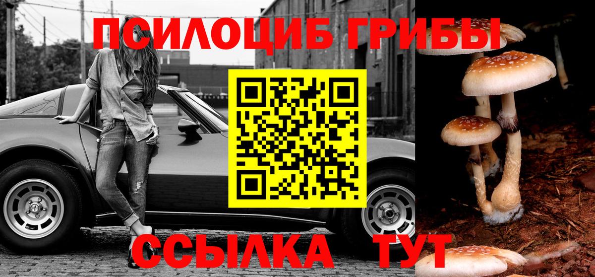 Псилоцибиновые грибы мицелий  Вход с VPN  Астрахань 