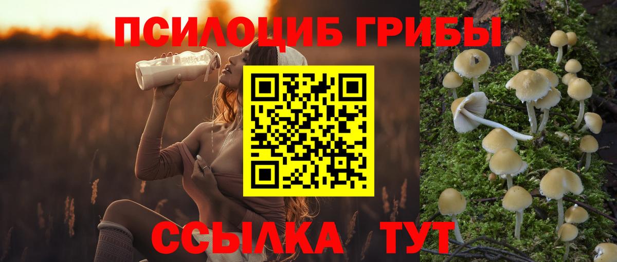 Галлюциногенные грибы MAGIC MUSHROOMS Астрахань
